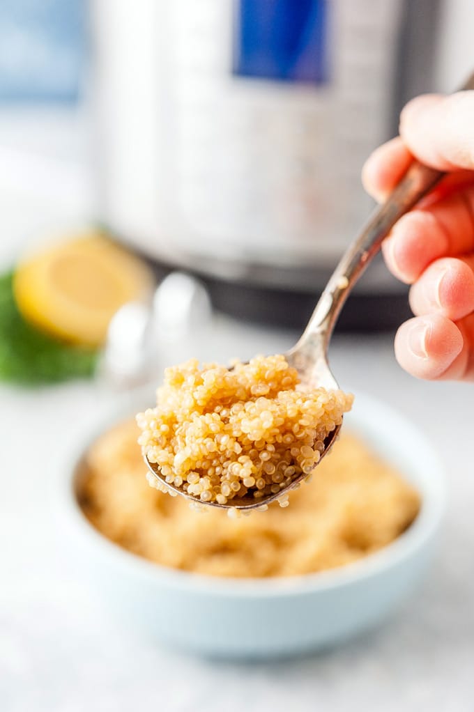 Spoon with some quinoa.